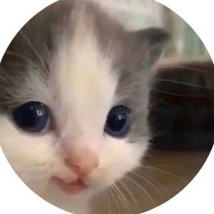 Meet your Posher, Lucy